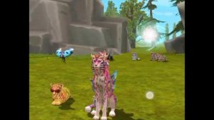 Разговорное видео