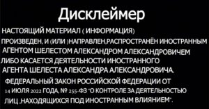 Снежана Егорова у ШЕЛЕСТА. Зарницы большой ВОЙНЫ.