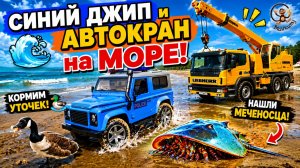 СИНИЙ ДЖИП и АВТОКРАН на Пляже! 🚙🌊 Играем машинками в воде и спасаем Меченосца