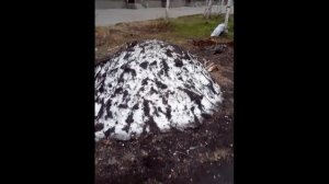 Сопротивляющийся Сугроб The Resisting Snowdrift