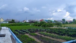 17-06-2026Утренний обход.Распаковка.Погода переменчивая ...