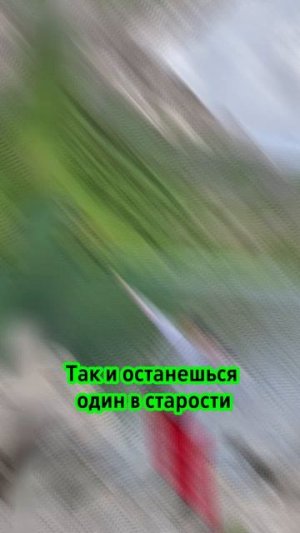 Путешествия
