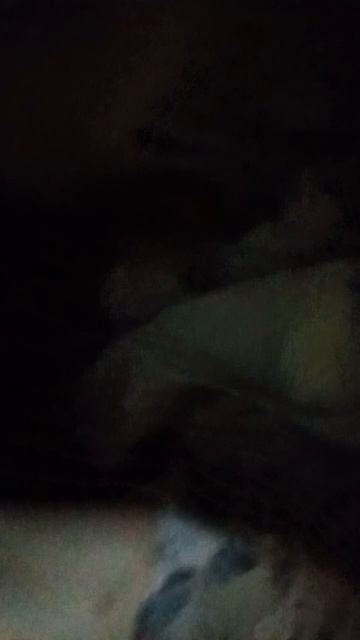 3755.mp4 смотреть онлайн