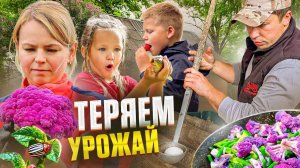 НАСТОЯЩАЯ И НЕПРОСТАЯ ЖИЗНЬ ДЕРЕВЕНСКОЙ СЕМЬИ! КАК ПОДВЯЗАТЬ ПОМИДОРЫ! ЧТО С ПАРНИКОМ? ГИБНЕТ УРОЖАЙ