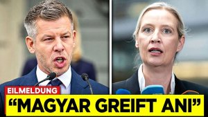 VOR 1 MIN Peter Magyar greift Weidel an - Deutschland ist sprachlos!