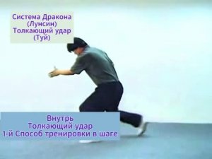 01 Основной Туй (Толкать). Инь ши багуачжан. Система Дракона. Хэ Цзиньбао