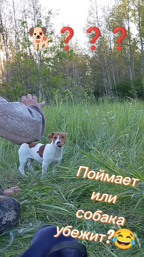 Поймай меня, если сможешь! 😅