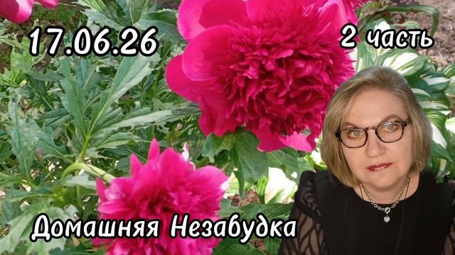 2 часть. С@пля отказался от тухлятины❗️ТЕХНАРЬ Гаврила вспомнил БЫВШЕГО мужика на ДЖИПЕ❗️ смотреть онлайн
