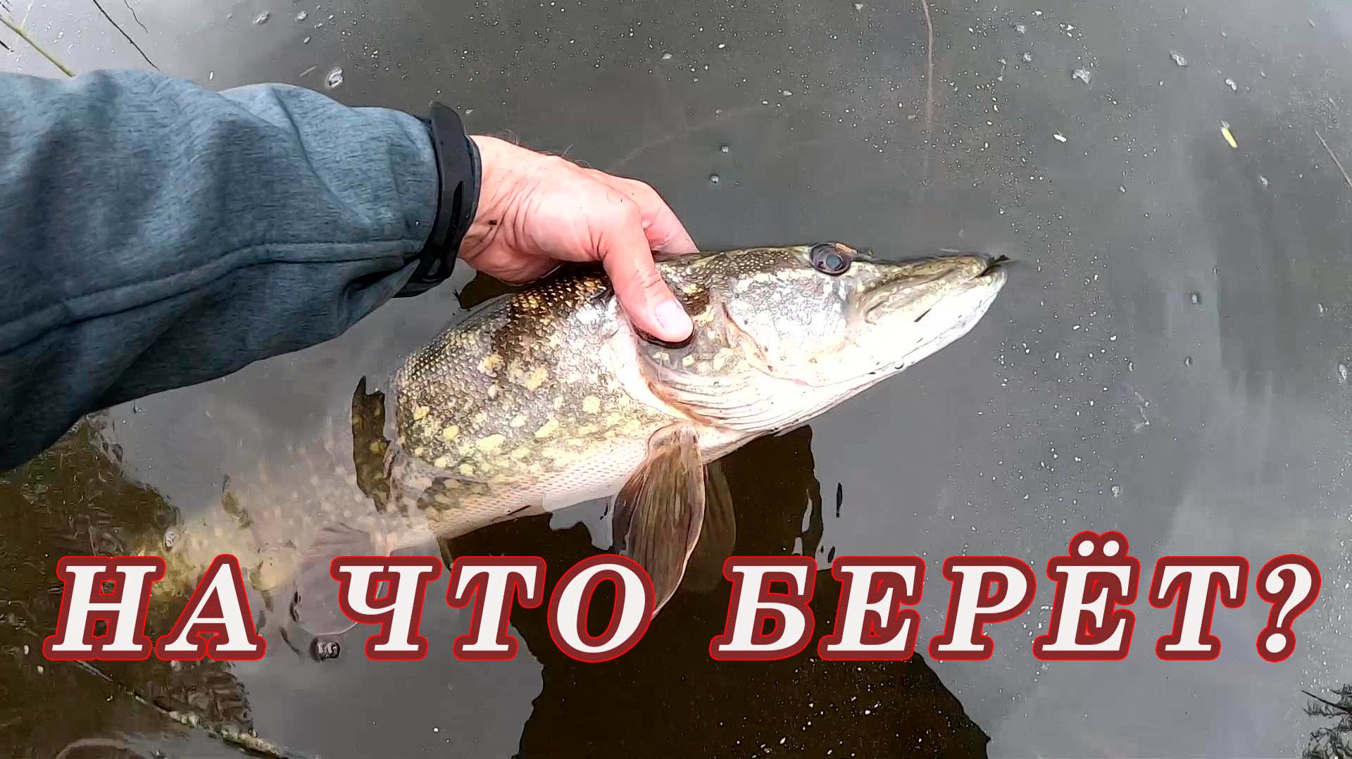Что лучше Вертушка или Тейл спиннер. Рыбалка на спиннинг смотреть онлайн