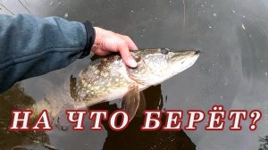 Что лучше Вертушка или Тейл спиннер. Рыбалка на спиннинг