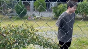 Безусловное доверие: как слепой пес изучает безопасный мир