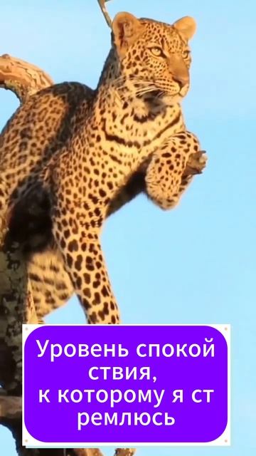 Уровень спокойствия