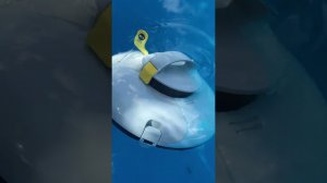 Lydsto P1 Mini Pro Автоматический пылесос робот-очиститель для бассейнов отзывы покупателей с видео
