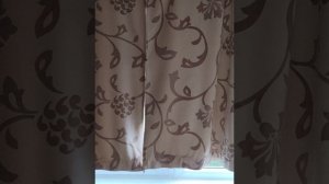 Утренний хор птиц