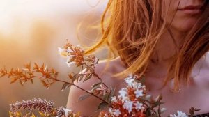 Песни для души. «Уметь увидеть красоту.»