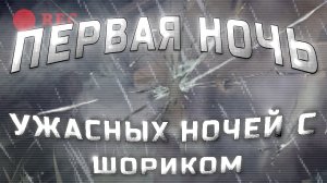 ПРОХОЖДЕНИЕ 1 НОЧИ УЖАСНЫХ НОЧЕЙ С ШОРИКОМ! - ПРОХОЖДЕНИЕ! Chicken gun/Чикен ган