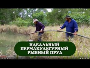 Пермакультурный рыбный пруд Джефф Лотон