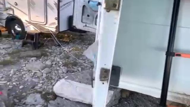 Электра читка рыбы ТЕСТ