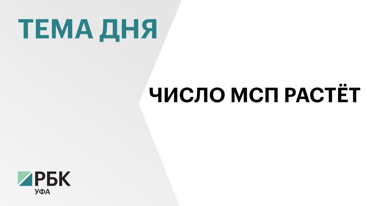 Число субъектов малого и среднего предпринимательства в Башкортостане за год выросло на 5,9%