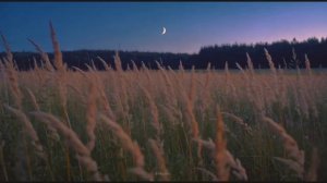 Maybe This Place Was Waiting For You - FadePause