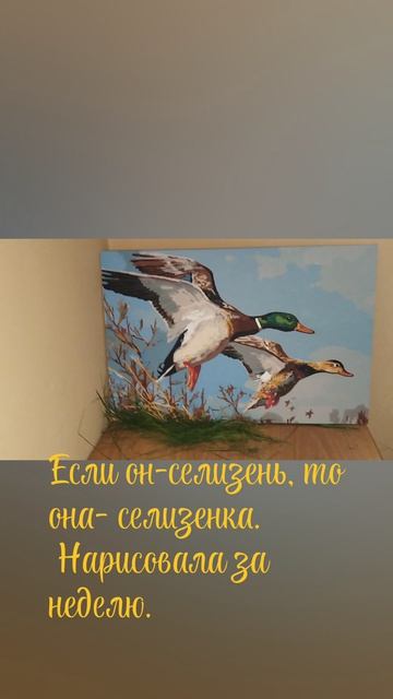 Селизень-это ОН, а ОНА- это селизенка. смотреть онлайн