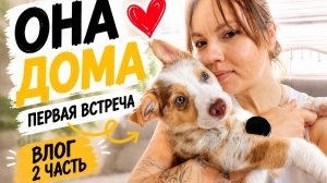 Я ЗАБРАЛА ЩЕНКА! Первая встреча и первый день дома ❤️