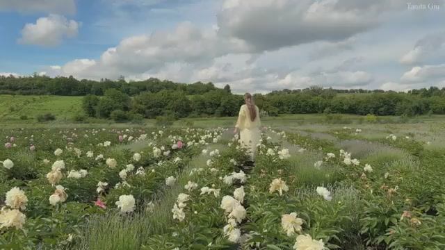 Уютная жизнь Красота деревенской жизни. Находя радость в простых вещах: Кухня и привычки смотреть онлайн