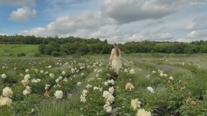 Уютная жизнь  Красота деревенской жизни.  Находя радость в простых вещах: Кухня и привычки