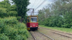 «Из кустов» трамвай КТМ-5М3 (71-605) №161 в Волжском, май 2026 года