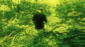 SanekMIX Бородач сбил на машине in green robot