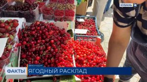 Почти в три раза за неделю снизилась цена на черешню в Краснодарском крае