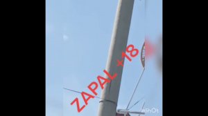 1 июля 2022 г.