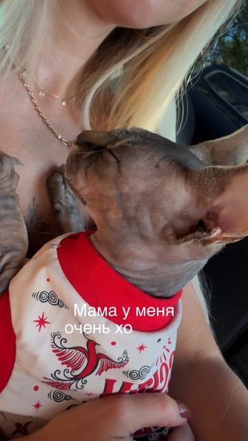 Мамин 