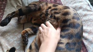 Тайсон помогает снимать ролик о метро в Пабге.