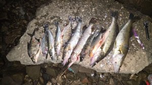Открытие сезона на ночной Волге
