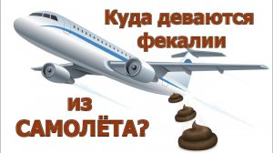 Всё что вы хотели знать о туалете в самолёте. Куда деваются фекалии из самолёта?