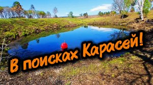 Летняя Рыбалка. На ПОПЛАВОК. В поисках КАРАСЕЙ в Далике от Дома. Всё-таки Клюнет или Нет...