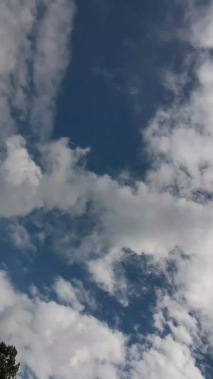 выполняю ваши задания