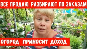 282🏡Все продаю/разбирают по заказам/Огород приносит прибыль/Чем кормлю огурцы