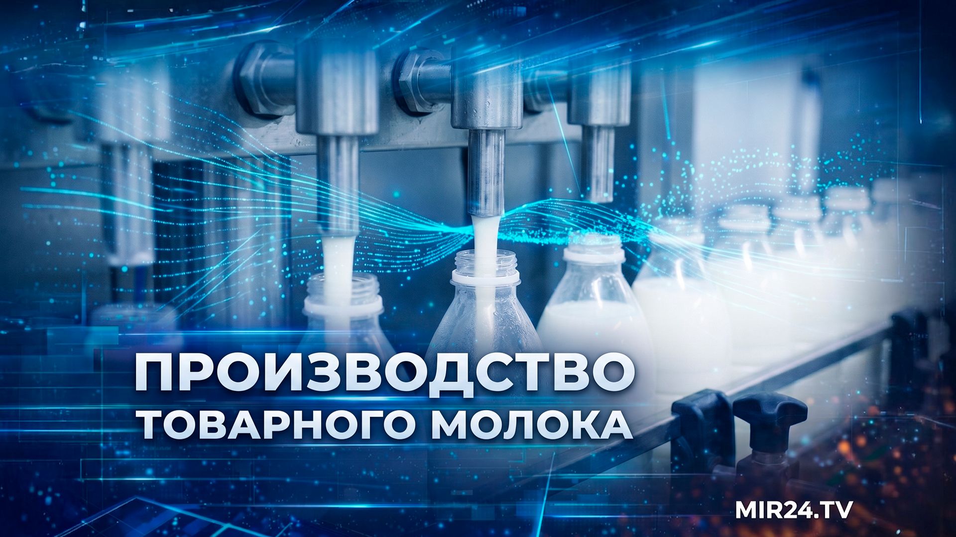 Производство товарного молока в России продолжает расти | Вместе выгодно