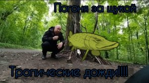 РЫБОЛОВНЫЕ ПРИКЛЮЧЕНИЯ ЛОВ ЩУКАНА ОКУНЯ ЛЕТОМ НА СПИННИНГ