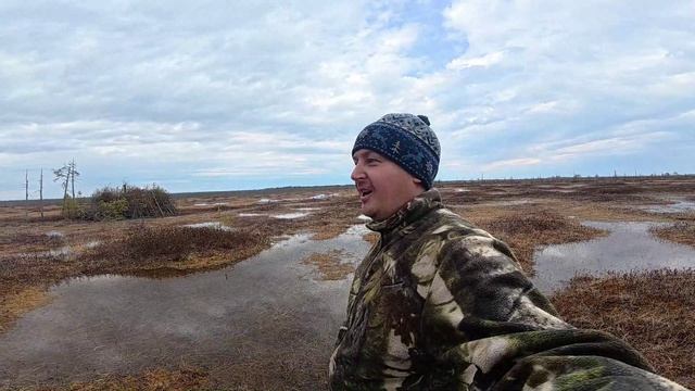 Ждем гуся а прилетели лебеди