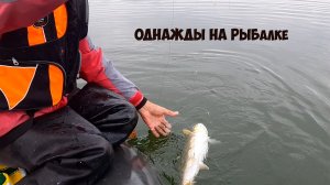 Однажды на рыбалке