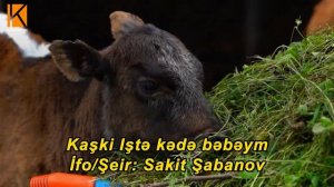 Sakit Şabanov - Kaşki Iştə kədə bəbəym