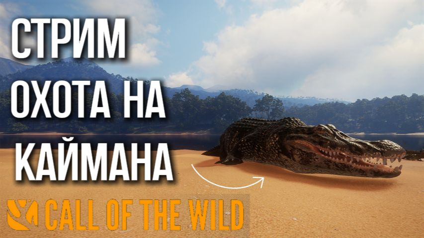 Охота на кайманового крокодила в интисую в theHunter: Call of the Wild смотреть онлайн