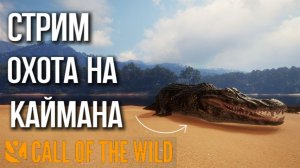 Охота на кайманового крокодила в интисую  в theHunter: Call of the Wild