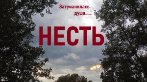 Затуманилась душа...
