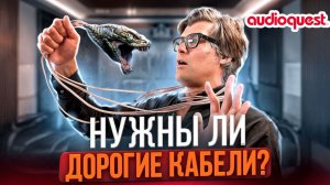 Кабели в аудио: развод или физика? Интервью с основателем AudioQuest