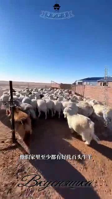 Вкусняшка