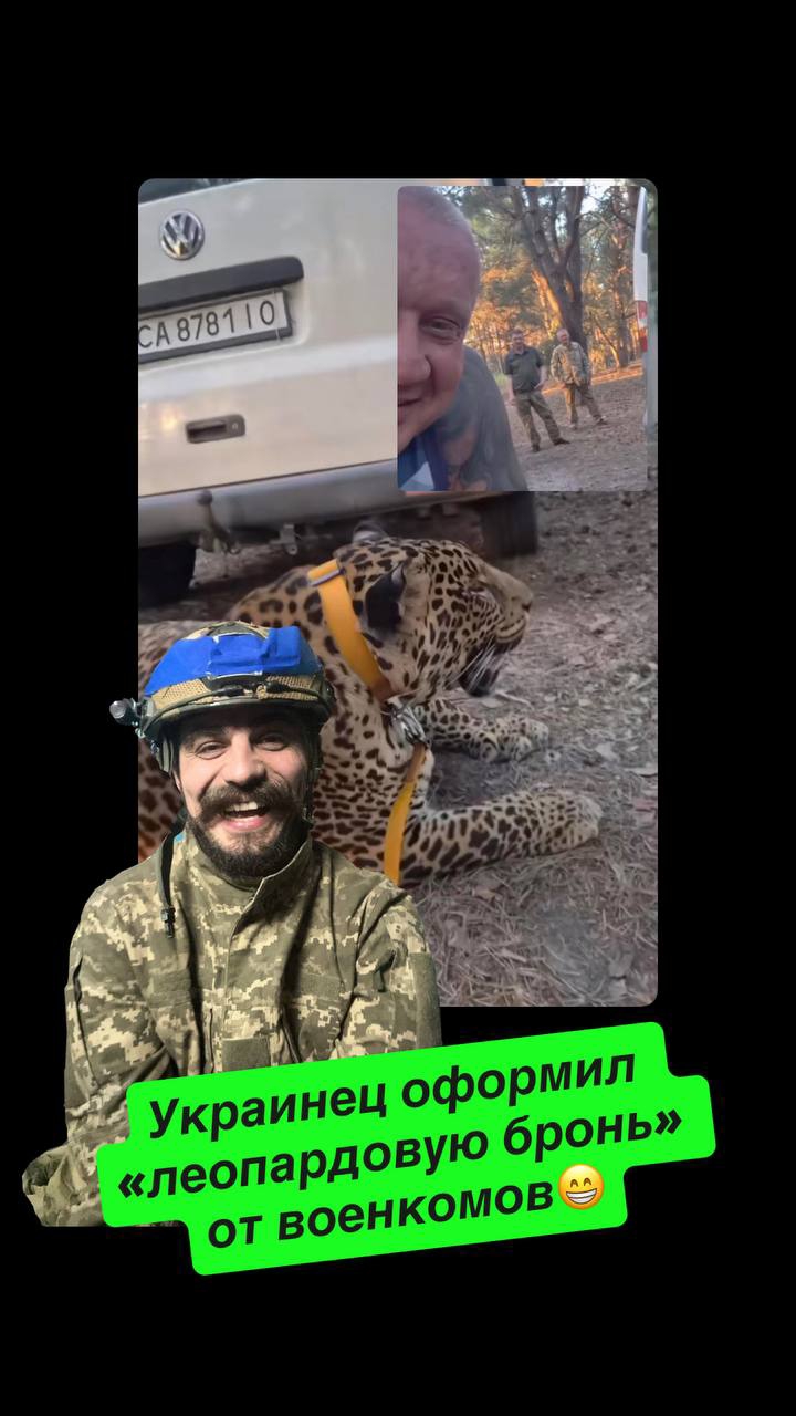 . смотреть онлайн